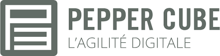 logo Pepper Cube